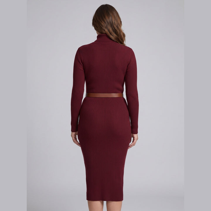 Verity burgundy ribbed turtleneck dress back view